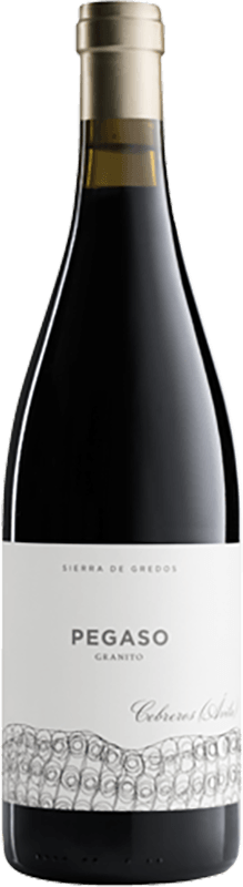 Telmo Rodriguez Pegaso Granito 2017 | Compania Telmo Rodriguez | Wine Focus