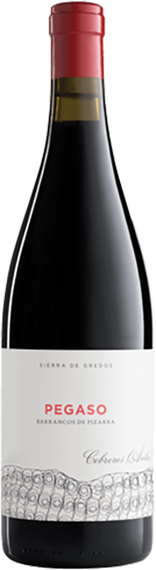 Telmo Rodriguez Pegaso Pizarra 2017 | Compania Telmo Rodriguez | Wine Focus