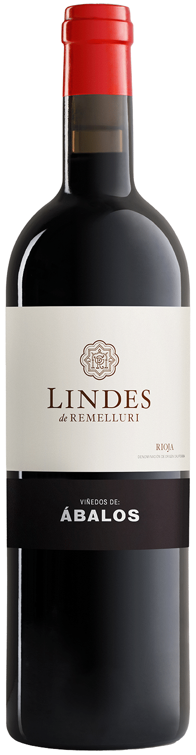 Lindes Abalos 2020