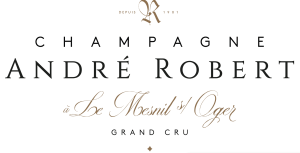 logo andre